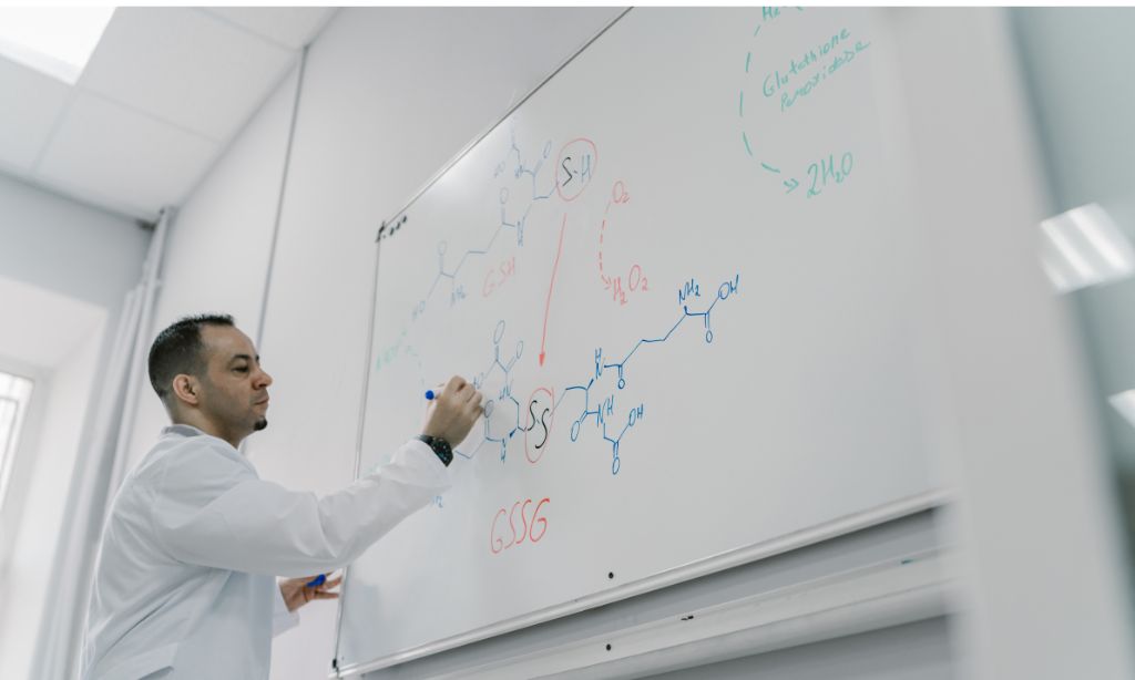 How to Prepare an Effective PhD Synopsis